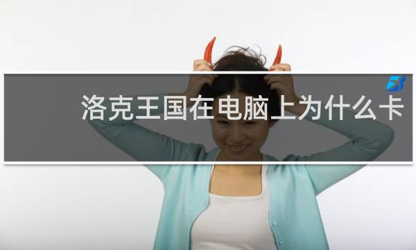 洛克王国在电脑上为什么卡