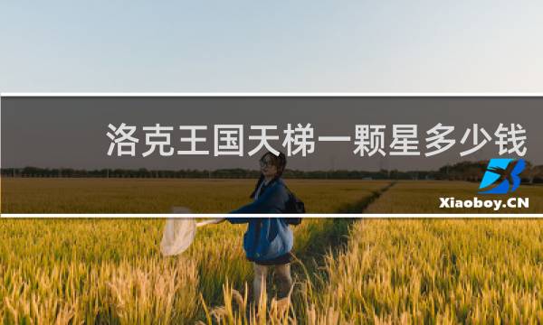 洛克王国天梯一颗星多少钱