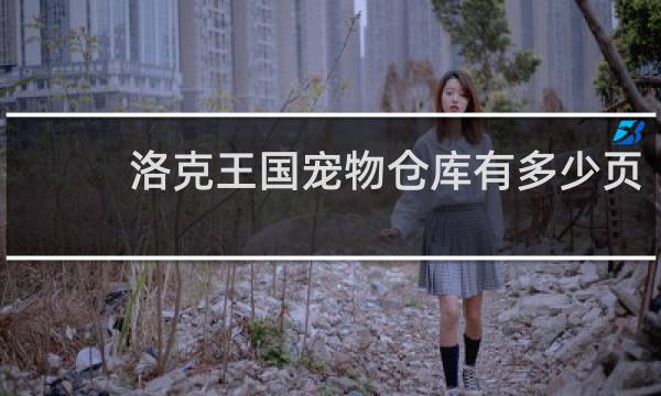 洛克王国宠物仓库有多少页