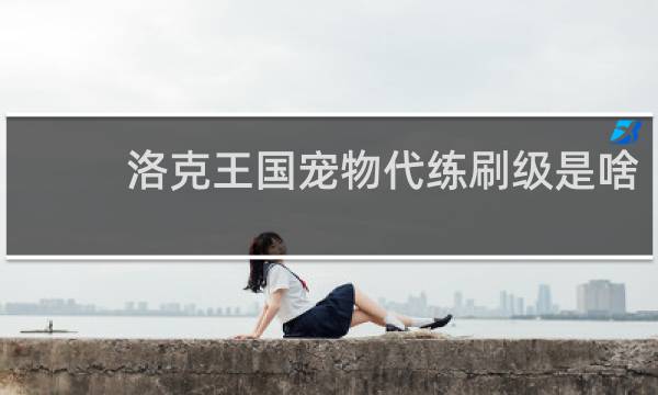 洛克王国宠物代练刷级是啥