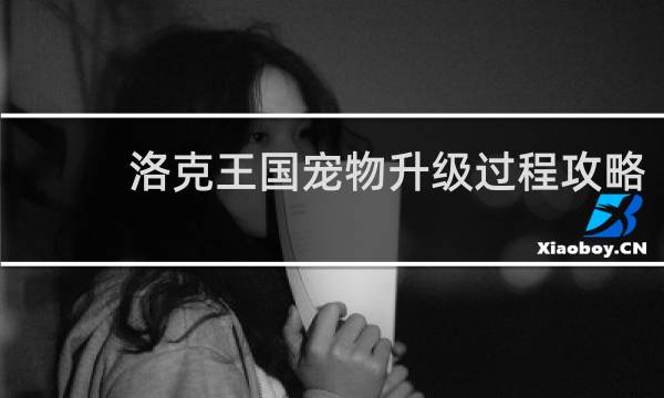 洛克王国宠物升级过程攻略