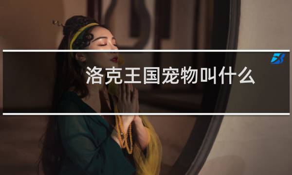 洛克王国宠物叫什么