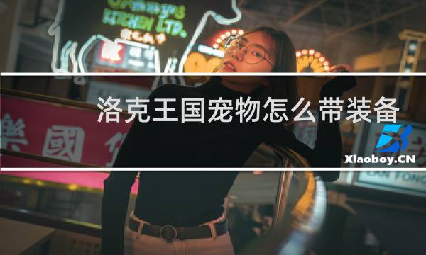 洛克王国宠物怎么带装备