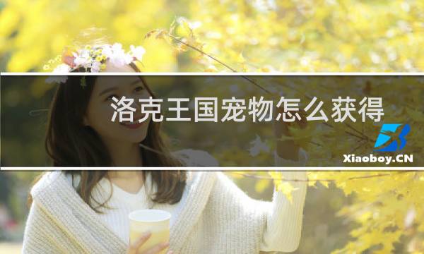 洛克王国宠物怎么获得