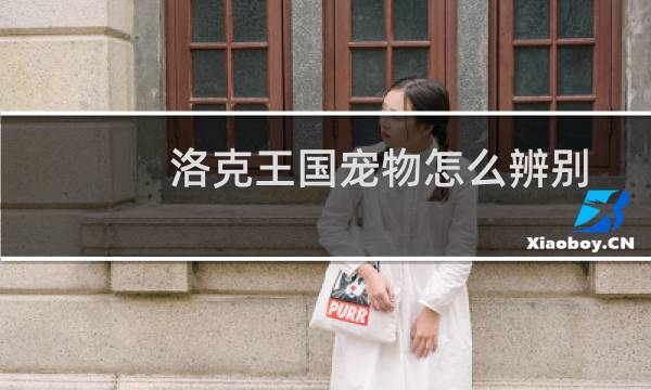 洛克王国宠物怎么辨别