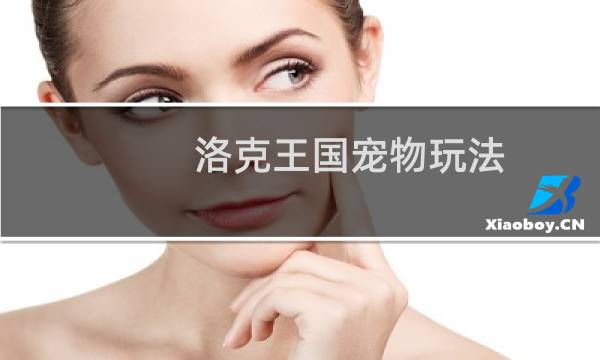 洛克王国宠物玩法