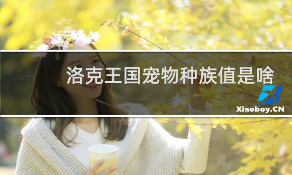 洛克王国宠物种族值是啥