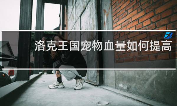洛克王国宠物血量如何提高