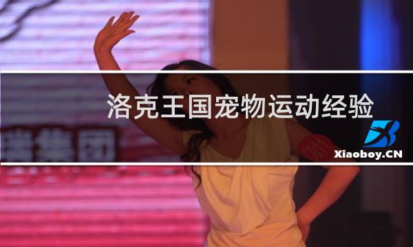 洛克王国宠物运动经验