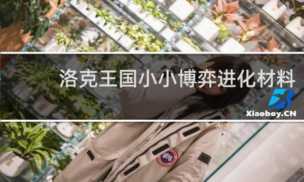 洛克王国小小博弈进化材料
