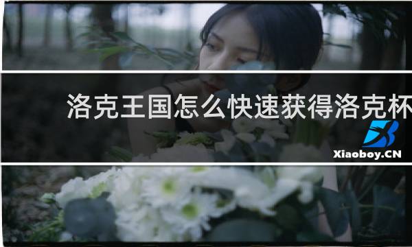 洛克王国怎么快速获得洛克杯