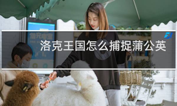 洛克王国怎么捕捉蒲公英
