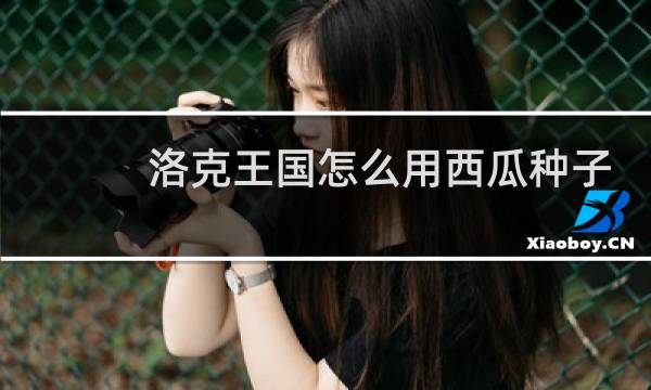 洛克王国怎么用西瓜种子