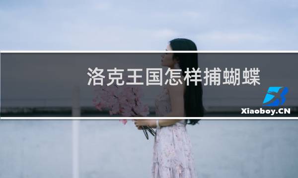 洛克王国怎样捕蝴蝶
