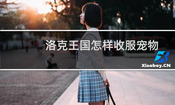 洛克王国怎样收服宠物
