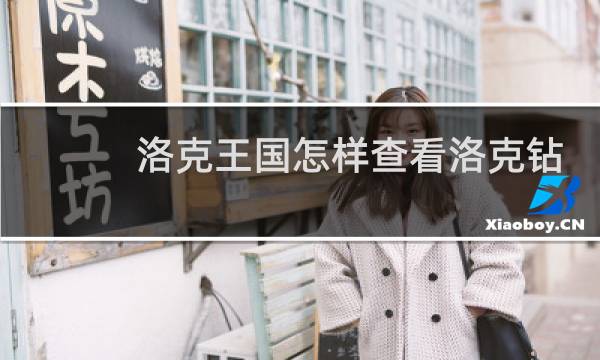 洛克王国怎样查看洛克钻