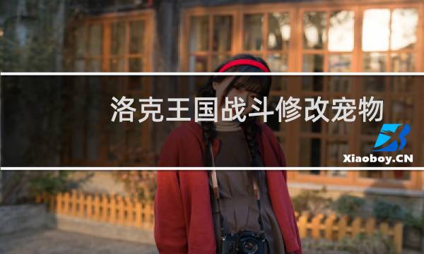 洛克王国战斗修改宠物