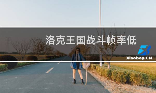 洛克王国战斗帧率低