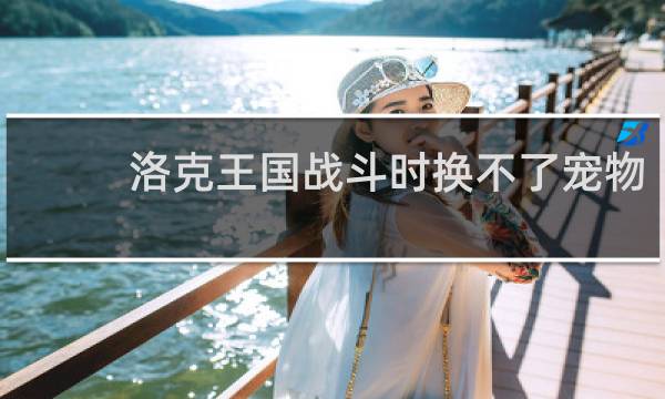 洛克王国战斗时换不了宠物