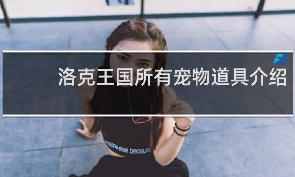 洛克王国所有宠物道具介绍