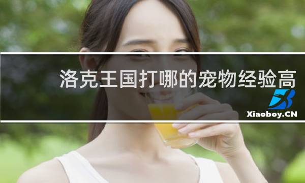 洛克王国打哪的宠物经验高