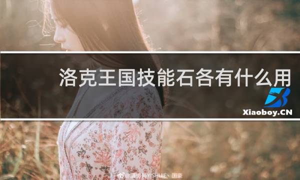 洛克王国技能石各有什么用