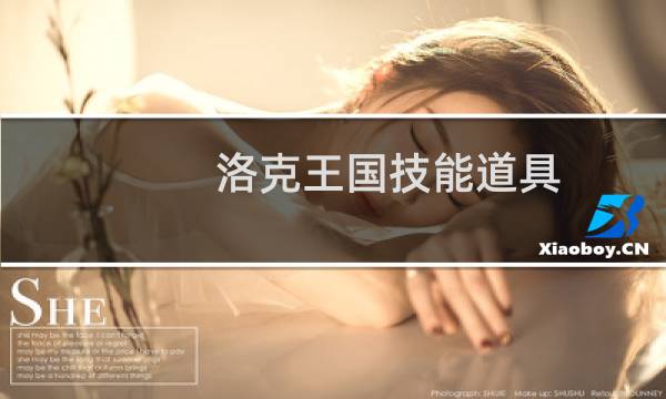 洛克王国技能道具