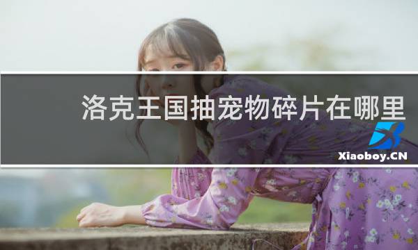 洛克王国抽宠物碎片在哪里