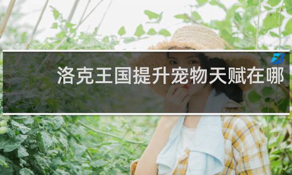 洛克王国提升宠物天赋在哪