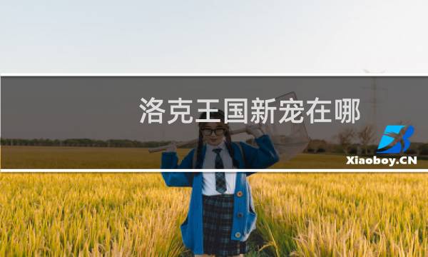 洛克王国新宠在哪