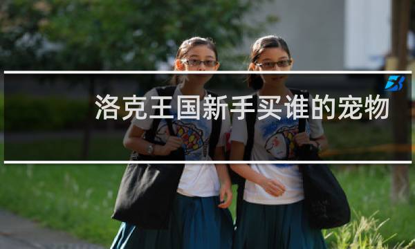 洛克王国新手买谁的宠物