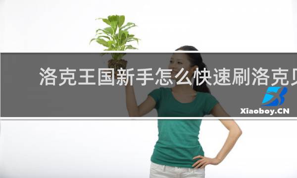 洛克王国新手怎么快速刷洛克贝