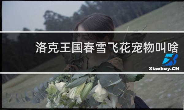 洛克王国春雪飞花宠物叫啥
