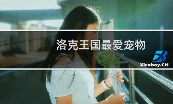 洛克王国最爱宠物