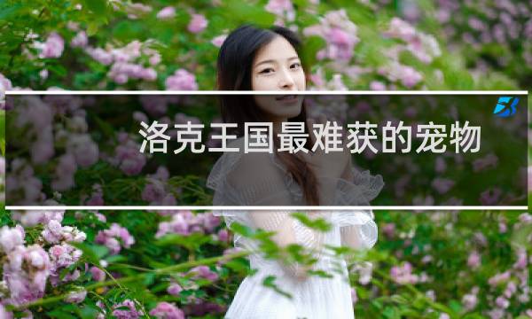 洛克王国最难获的宠物