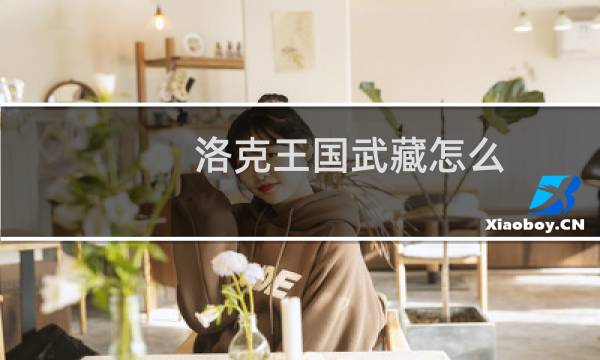 洛克王国武藏怎么