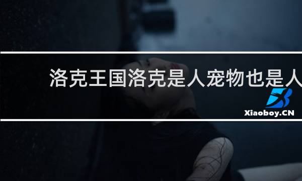 洛克王国洛克是人宠物也是人