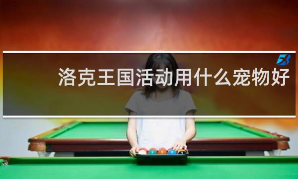 洛克王国活动用什么宠物好