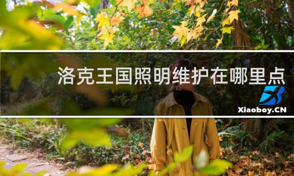 洛克王国照明维护在哪里点