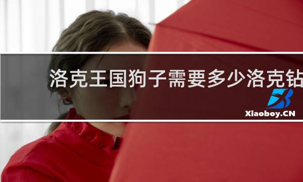 洛克王国狗子需要多少洛克钻