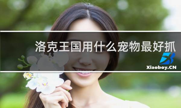 洛克王国用什么宠物最好抓