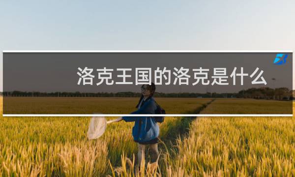 洛克王国的洛克是什么