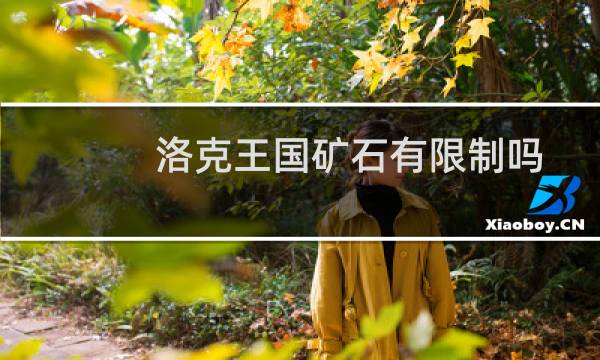 洛克王国矿石有限制吗