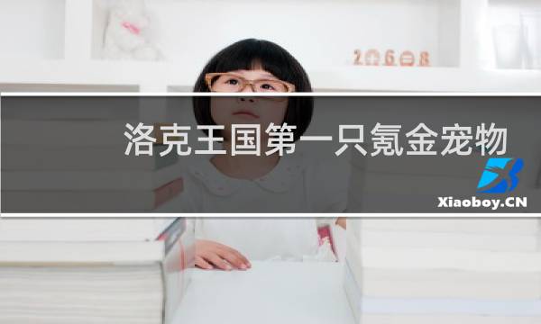 洛克王国第一只氪金宠物
