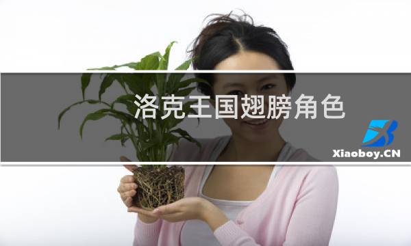 洛克王国翅膀角色