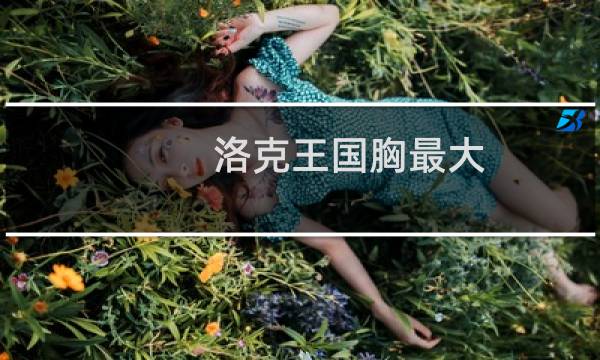 洛克王国胸最大