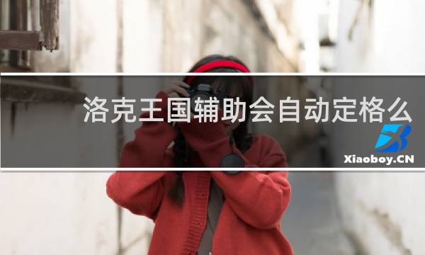 洛克王国辅助会自动定格么