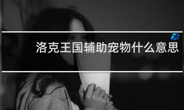 洛克王国辅助宠物什么意思