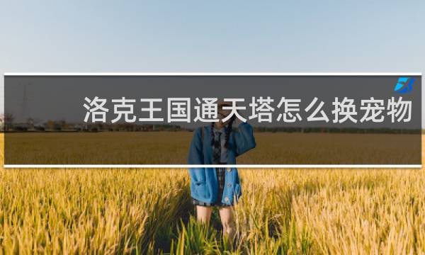 洛克王国通天塔怎么换宠物