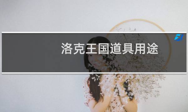洛克王国道具用途